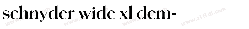 schnyder wide xl dem字体转换